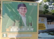 Anak Bos SPBU Tebar Pesona di Sejumlah Pohon-pohon di Makassar