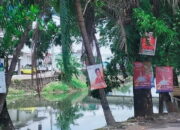 Caleg Penghuni Pohon Bertebaran di Makassar, Bawaslu Kerja Apa?