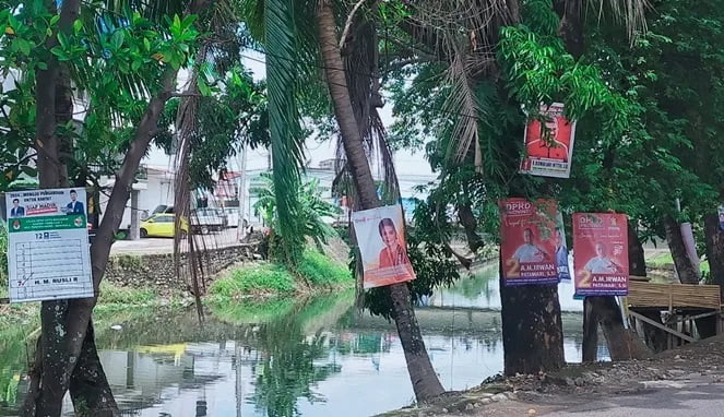 Caleg Penghuni Pohon Bertebaran di Makassar, Bawaslu Kerja Apa?