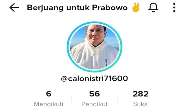 Tangkapan layar akun @calonistri71600 berjuang bersama Prabowo