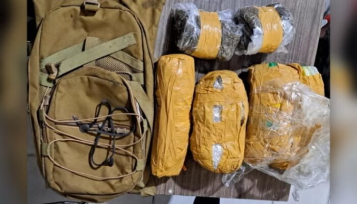 3 Warga Asing Kedapatan Bawa Ganja Masuk ke Jayapura