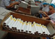 Harga Cukai Rokok Naik di Awal Tahun, Berikut Daftar Terbarunya