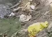 Heboh, Penemuan Bayi di Sungai Dekat RSU Sufina, Polisi Selidiki