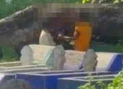 Heboh, Dua Bocah Ingusan di Makassar “Adu Mekanik” di Kuburan