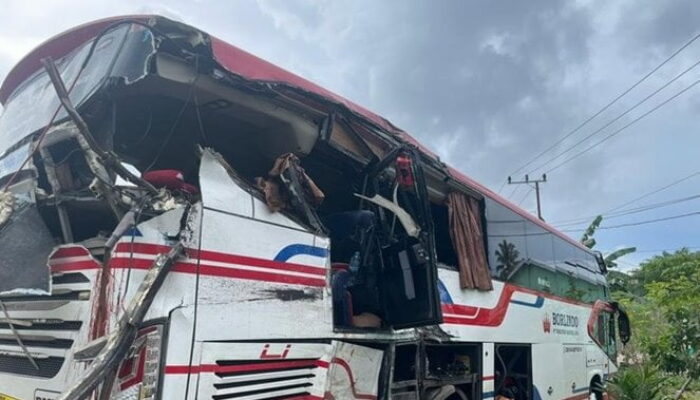 Truk Pengangkut Mobil Terlibat Tabrakan dengan Bus Borlindo Makassar Palu, 4 Penumpang Tewas