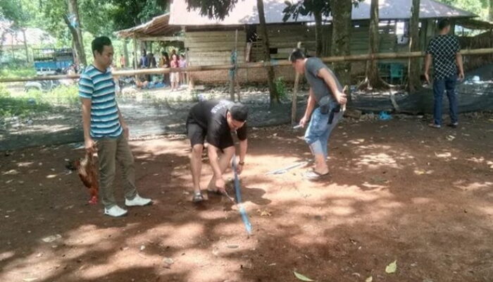 Polisi Bubarkan Judi Sabung Ayam di Maroangin