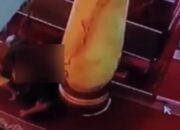 Menjijikkan, Pasangan Gay Oral Seks dalam Masjid di Sumbar