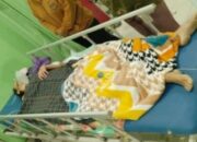 Tolak Lebaran di Kampung Mertua, Istri di Jeneponto Ditikam Suami