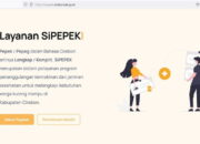 Pemborosan Anggaran, Aplikasi Pemerintah Diberi Nama Si Pepek