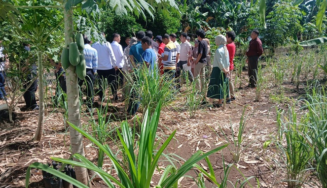 Budiman S Serukan Keadilan Tegas Untuk Menuntaskan Penyimpangan Sengketa Tanah di Maros
