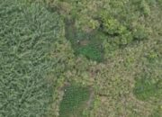 Terjawab! Alasan Tarif Drone di Bromo Rp 2 Juta, Lindungi Ganja?