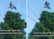 Viral! Daun Diam Tak Bergeming Ketika Salat Idul Fitri, Netizen: Alam Ikut Bertasbih