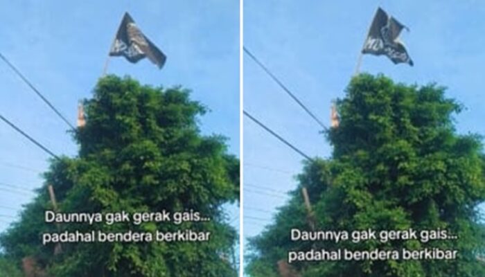 Viral! Daun Diam Tak Bergeming Ketika Salat Idul Fitri, Netizen: Alam Ikut Bertasbih