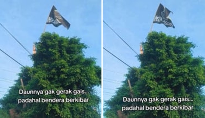 Viral! Daun Diam Tak Bergeming Ketika Salat Idul Fitri, Netizen: Alam Ikut Bertasbih