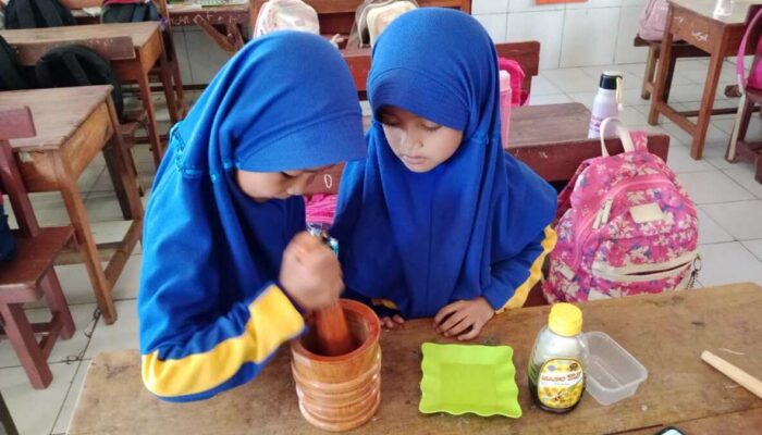 Unik, Siswi SD Negeri Parinring Buat Masker Wajah dari Daun Katuk