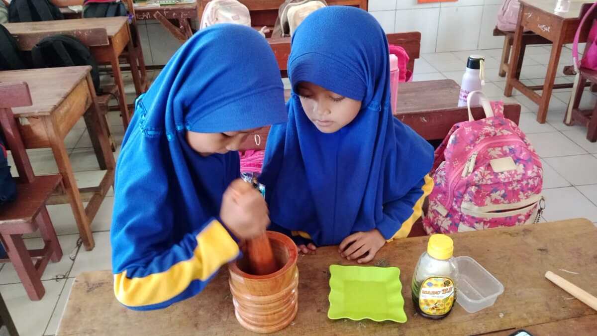 Unik, Siswi SD Negeri Parinring Buat Masker Wajah dari Daun Katuk