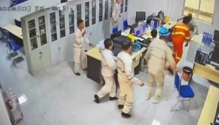 Viral, Karyawan Tambang di Maluku Utara Tikam 2 Bos China, Motifnya Bikin Syok