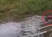 Takut Tertangkap, Pelaku Sabung Ayam di Gowa Kabur dan Lompat ke Perairan