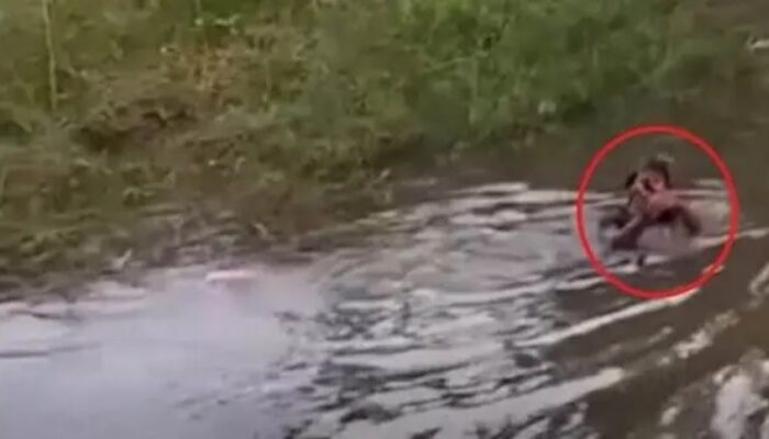 Takut Tertangkap, Pelaku Sabung Ayam di Gowa Kabur dan Lompat ke Perairan