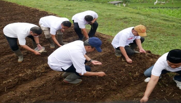 DPP GAN dan SCI Sepakat Kembangkan Sorgum di Seluruh Indonesia