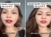 Emosi Bestie, Wanita Ini Ledek “Palukka” Usai Direktur RSUD Syekh Yusuf Jadi Tersangka