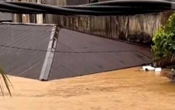 Banjir Setinggi Atap Rumah Rendam Tolitoli, Warga Dievakuasi Tim Gabungan