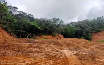 Ratusan Hektare Hutan Lindung Bawakaraeng–Lompobattang Lenyap Digilas Mafia