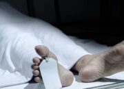 Oknum Brimob Diduga Aniaya Kakak Beradik di Maluku, Satu Meninggal Dunia