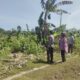 Laporan Pengrusakan Pohon di Barombong Mandek, Polsek Disorot Tak Bernyali?