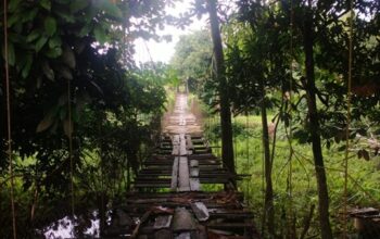 Kondisi Jembatan Gantung Pajalesang di Kota Palopo yang hingga kini belum mendapat perbaikan dan dikeluhkan warga karena dinilai membahayakan keselamatan pengguna.