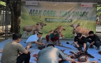 Sejumlah karyawan dan manajemen MaxOne Hotel & Resort Makassar bergotong royong memotong dan mengemas daging kurban, Rabu (27/5/2026)