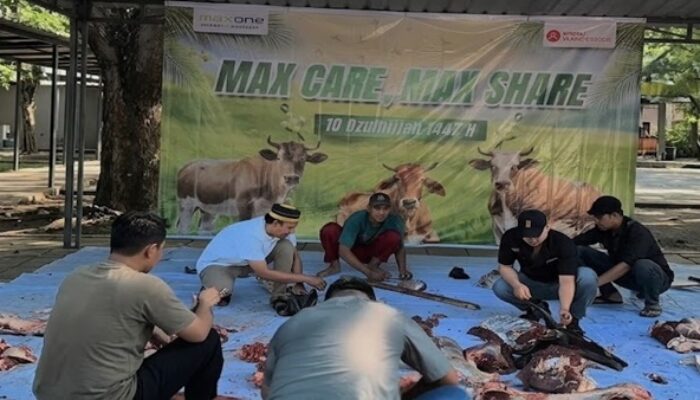 Sejumlah Hewan “Dibantai” di MaxOne Makassar, Warga Sekitar Ikut Panen Kurban