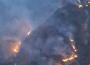 Tangkapan layar video yang beredar di media sosial memperlihatkan kobaran api dan kepulan asap membumbung tinggi melahap kawasan hutan pinus di lereng Gunung Nona, Kabupaten Enrekang, Sulawesi Selatan, Sabtu (15/8/2026).