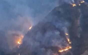 Tangkapan layar video yang beredar di media sosial memperlihatkan kobaran api dan kepulan asap membumbung tinggi melahap kawasan hutan pinus di lereng Gunung Nona, Kabupaten Enrekang, Sulawesi Selatan, Sabtu (15/8/2026).