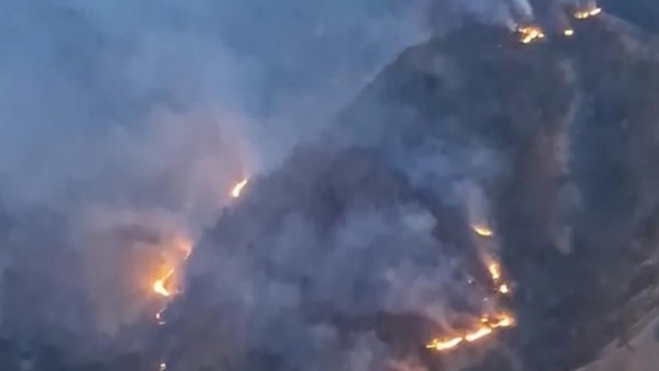 Tangkapan layar video yang beredar di media sosial memperlihatkan kobaran api dan kepulan asap membumbung tinggi melahap kawasan hutan pinus di lereng Gunung Nona, Kabupaten Enrekang, Sulawesi Selatan, Sabtu (15/8/2026).