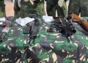 Delapan jenis senjata api lengkap dengan peluru tajam berhasil diamankan Satgas TNI dari persembunyian kelompok OPM di Kabupaten Puncak, Papua Tengah, Minggu (16/8/2026). Senjata itu diduga disiapkan untuk melancarkan aksi teror menjelang peringatan HUT ke-81 Republik Indonesia. (Foto: Ist)