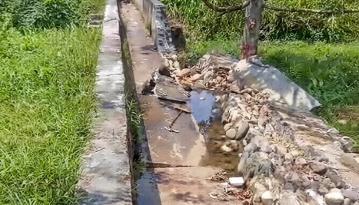 Anggaran Belasan Miliar Ambrol, Proyek Irigasi di Bungadidi Diminta Diperiksa
