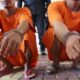 Tiga Sapi Laku Rp24 Juta, Komplotan Palukka Sapi di Maros Berakhir di Jeruji Besi