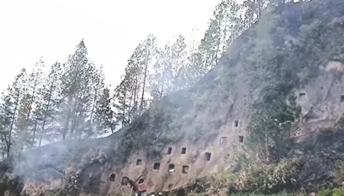 270 Jenazah Berakhir Jadi Abu Usai Makam Tebing Toraja Utara Dilahap Karhutla